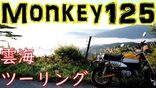 【モンキー125 Monkey125】雲海ツーリング