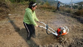 Rural women start cultivating the land