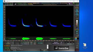 SonoBat Training Video: The SonoBat Viewer