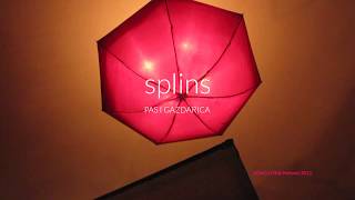 Splins -  Pas i Gazdarica