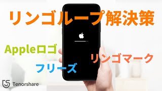 【iPhoneリンゴループ】Appleロゴのまま・リンゴマークでスタックしてフリーズになったiPhoneを復元する方法｜Tenorshare ReiBoot