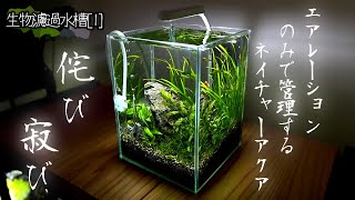 生物濾過水槽[1]エアレーションのみ。小さなネイチャーアクアリウム水槽立ち上げ#小型水槽 #水草水槽