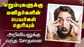 மனிதனின் பெயர் சொல்லிய எறும்புகள்-புராணங்களை மிஞ்சும் கற்பனை |  சிந்திக்க சில நிமிடங்கள் 22 | TCA