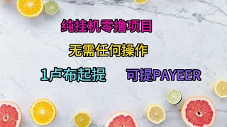 自动挂机赚钱/无需任何操作/赚美金/赚卢布/payeer收款