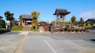 正定寺と福寿稲荷神社 GX7 MK2＋Crane M