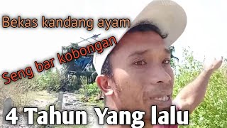 Nilek i bekas kandang pitek. seng bar kobongan biyen sekitar 4 tahun yang lalu