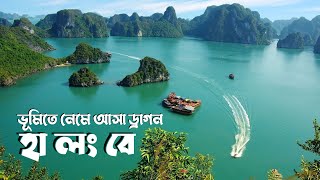 হা লং বে : ভূমিতে নেমে আসা ড্রাগন | Ha long bay | Wisdom Lens