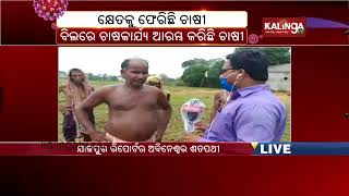 Agriculture Starts In Jajpur Amid COVID 19 Lockdown: Ground Report || KalingaTV