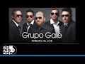 Tributo Al Joe, Grupo Galé - Audio