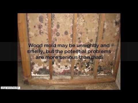 how to remove mold from wood furniture how to remove mold from wood furniture
