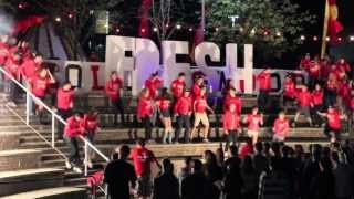 Collingwood Fresh Air 2013: The Highlight Reel