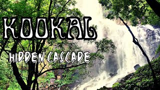 kookal Hidden Cascade | Kodaikanal | Adventure Place |Thrilling Trekking | Kookal falls | SS illam