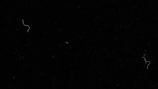 4K Dirt vintage film dust hair damage 35mm footage FREE noise overlay after effects premiere HD 4K Dirt vintage film dust hair damage 35mm footage FREE noise overlay after effects premiere HD