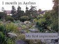 Moving to Aarhus, Denmark - 1 month special : Living in Aarhus