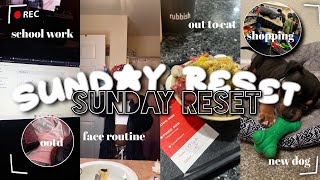 Sunday Reset | school work + out to eat + new dog + grwm for the week , etc