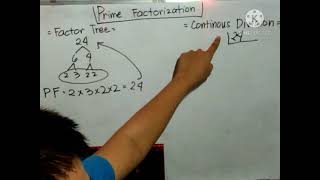 Prime Factorization (Using Factor Tree and Continuous Division)