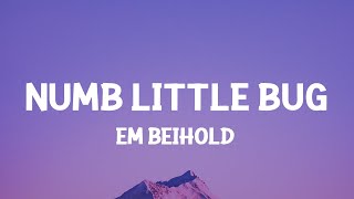 Em Beihold - Numb Little Bug (Lyrics) Do you ever get a little bit tired of life