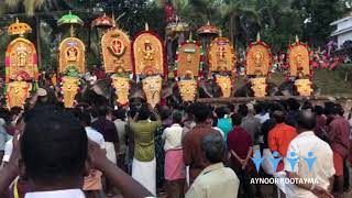 Aynoor Cheenikkal Temple Pooram 2019