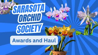 Sarasota Orchid Show 2025