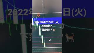 2022年8月23日(火)GBPUSD下落継続？🐈