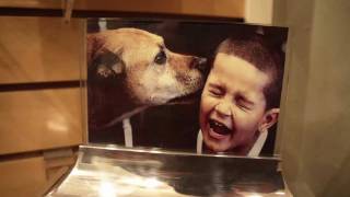 Dignified Pet Services | Pet Cremation Oregon