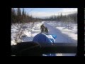 Winter Moose Hunt by Dog Sled in Alaska