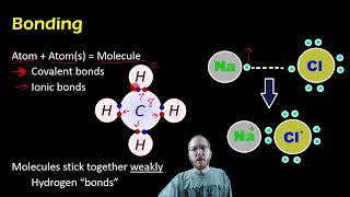 Biology: Basic Chemistry Review