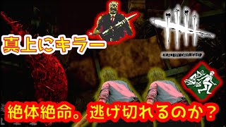 【神画質dbd】『都会の逃走術』がチェイスに使え過ぎてヤバイ。【Dead_By_Daylight/DbD】