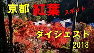 【京都紅葉】紅葉スポットダイジェスト 2018