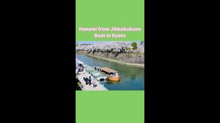 Hanami from Jikkokubune Boat in Kyoto #shorts