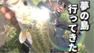 誰でも釣れる！夢の島行って来た　＃１　【細い水路でも釣れる！】