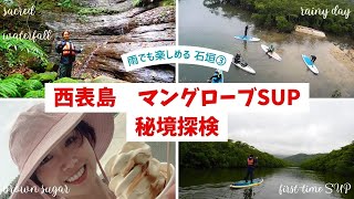 【西表島】マングローブSUP初体験＆ジャングル探検！雨でも楽しい（石垣島③）