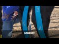 How to Tape the Hocks using Equi-Tape®