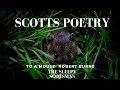 Robert Burns- To A Mouse: Relaxing Scottish Poetry.