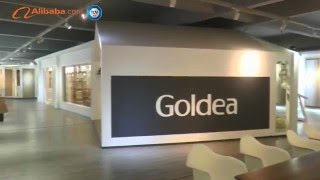 Goldea door introduction in 2016 by alibaba--alibaba door supplier