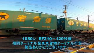 岩国市の川下踏切を早朝５時台に通過する列車５選