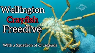 Big Crayfish In Wellington  [with a Squadron of Legends]