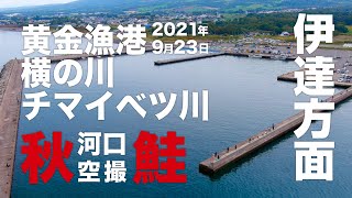 【鮭釣り】09月23日北海道 伊達方面 黄金漁港・北黄金川・チマイベツ川河口 空撮【アキアジ】