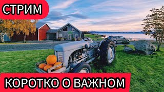 Топ вопросов от подписчиков: без купюр и отговорок