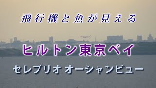 ホテルライフ楽しんだ、ヒルトン東京ベイホテル