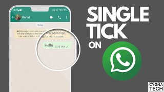Whatsapp single tick on iPhone using Wifi👀