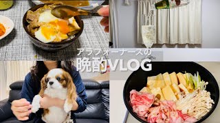 アラフォーナースの晩酌VLOG/肉豆腐/今日のお酒/シードル/レモンビール