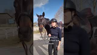 LOL. #entresesoreilles #humour #equitation #cheval #ecurie #poney #cso