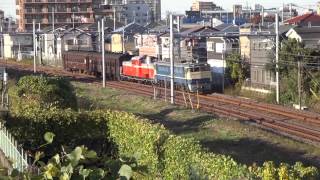 尾久車両センター展示車両回送　大宮～宮原間にて