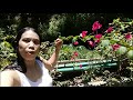 SWIMMING WITH NATURE in the ABANDONED RESORT/MISS RAQUEL PINAY VLOGS