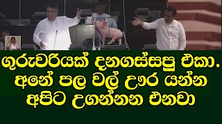 අනේ පල වල් ඌර යන්න අපිට උගන්නන එනවා