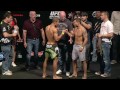 ufc 179 official weigh ins