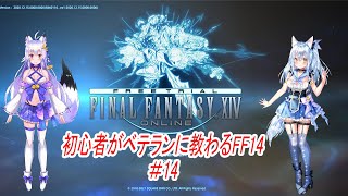 【FF14】狐夫婦、夫が妻に教わりながらすすめるFF14#14【VTuber】