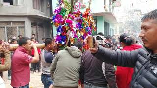 Boshigaun jatra 2075