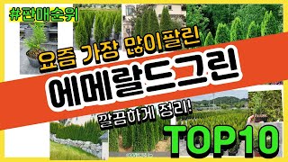 에메랄드그린 추천 판매순위 Top10 || 가격 평점 후기 비교